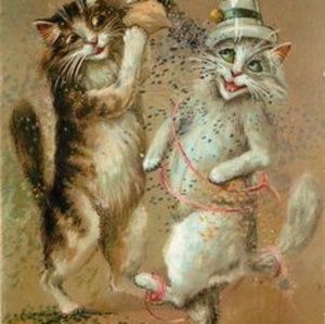 Meet your Posher, Connie